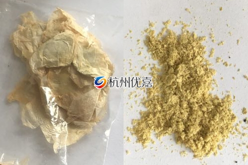 如何利用宋慈高通量多樣品組織研磨儀研磨植物組織？