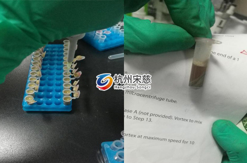 <a href=http://www.wingthing.net/prouduct/lengdong/ target=_blank class=infotextkey>冷凍研磨儀</a>